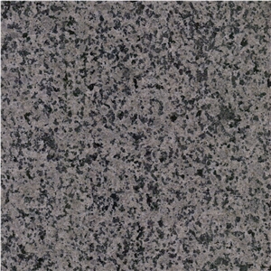 Jindian Sesame Grey Granite