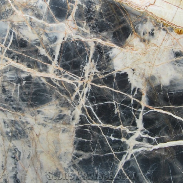 Jungle Black Marble importance=