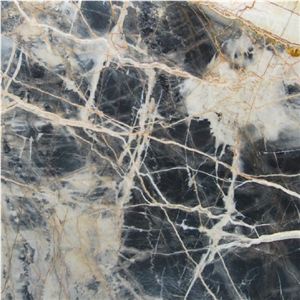 Jungle Black Marble