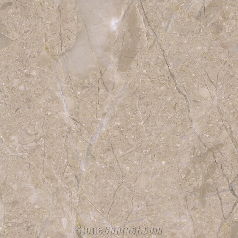 Jurassic Beige Marble Tile