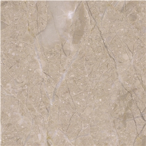Jurassic Beige Marble Tile