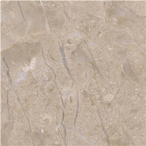 Jurassic Beige Marble Tile