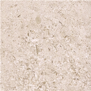 Kanfanar Shells