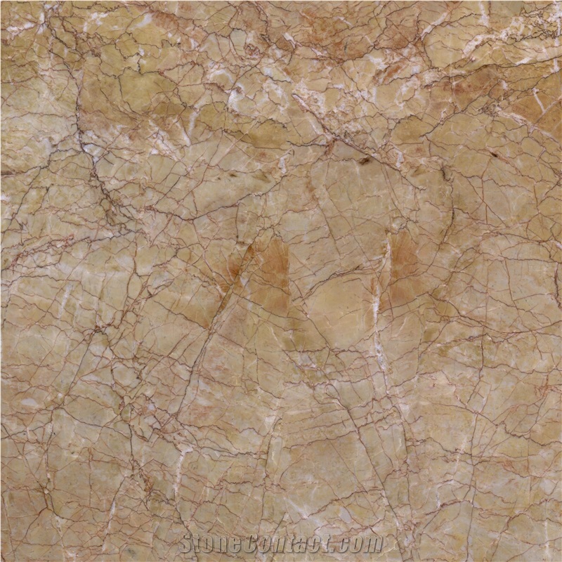 Karen Gold Marble importance=