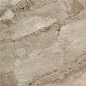 Karnis Special Marble Tile