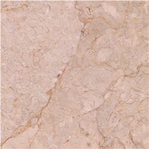 Khoy Cream