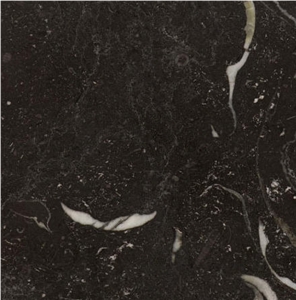 Kilkenny Black Fossil Limestone Tile