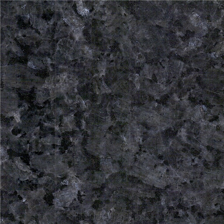 Labrador Acier importance=