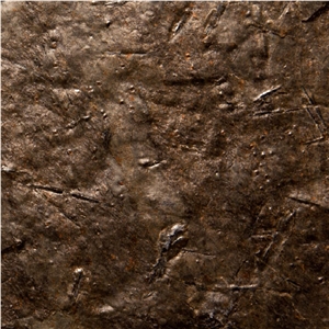 Lace Rust Phyllite