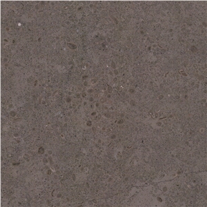 Lagos Dura Limestone Tile