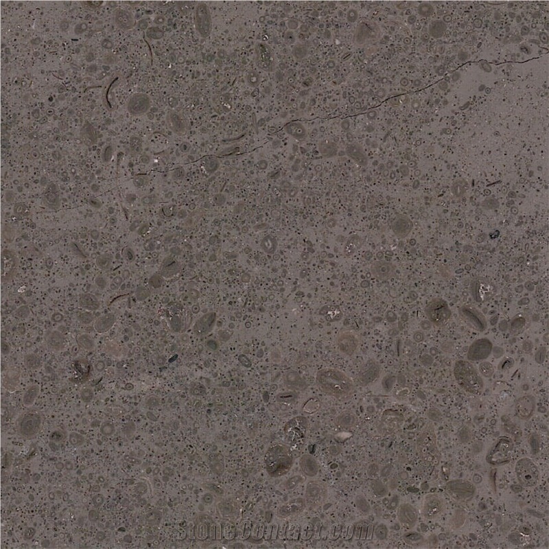 Lagos Dura Limestone Tile