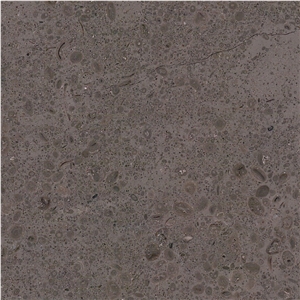 Lagos Dura Limestone Tile
