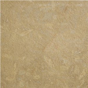 Lagos Gold Limestone Tile