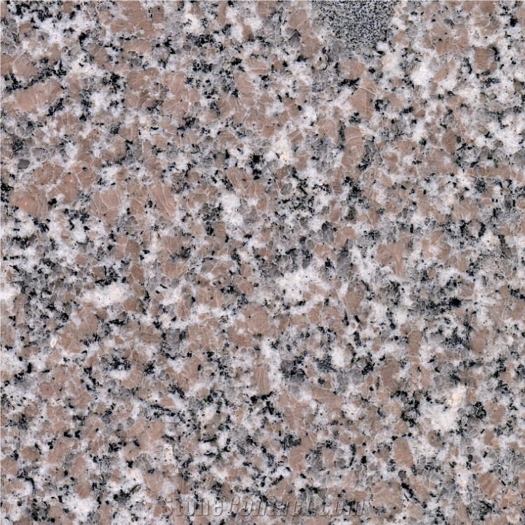 Laizhou Sakura Red importance=