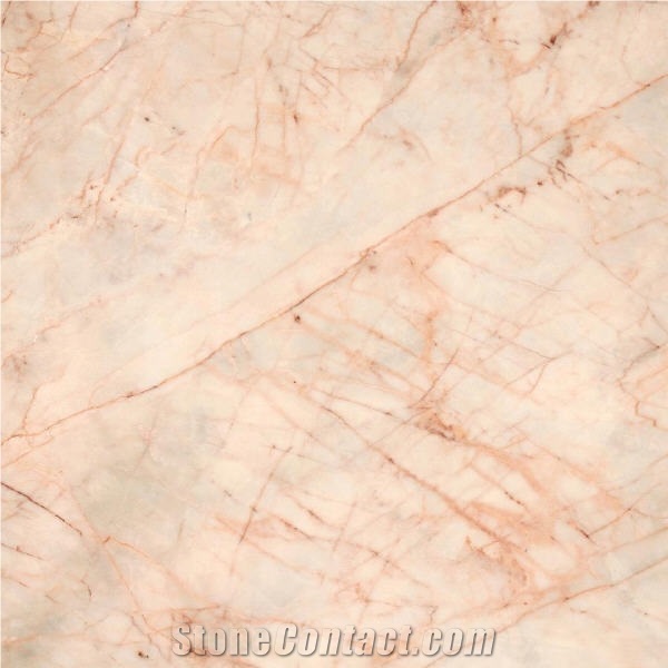 Lanno Pink importance=