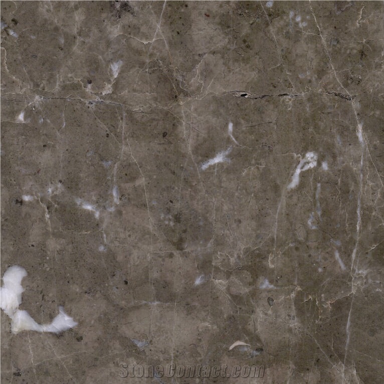 Latte Grey Marble importance=