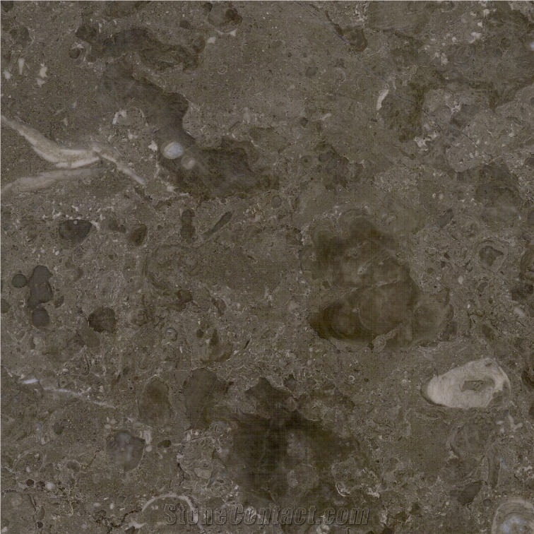 Latte Grey Marble Tile