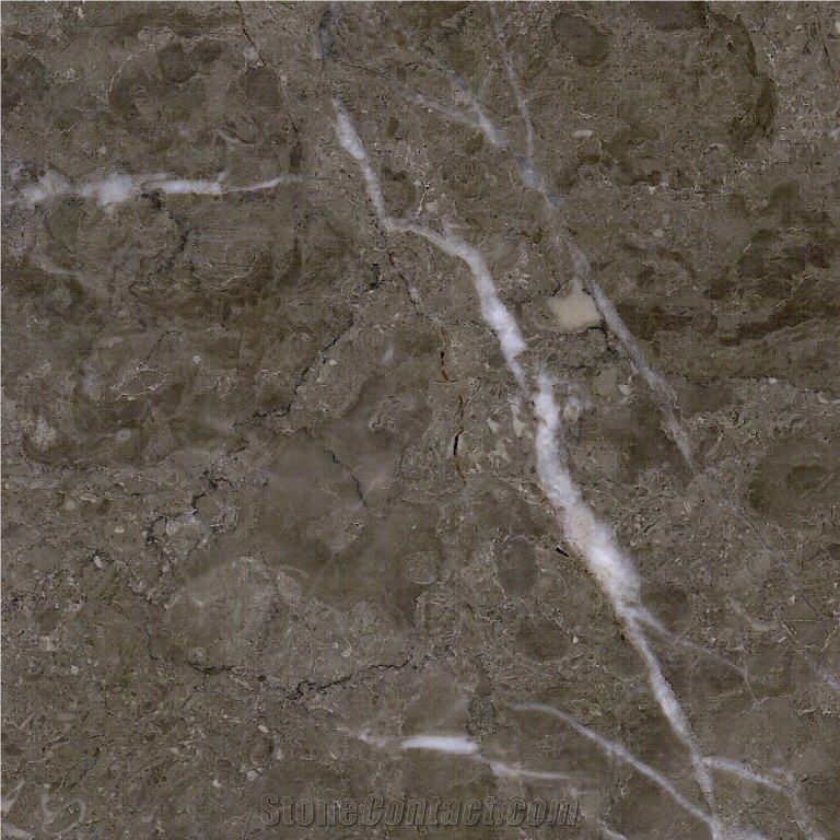 Latte Grey Marble Tile