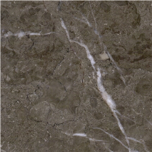 Latte Grey Marble Tile