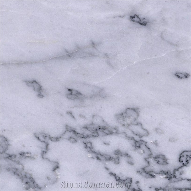 Lawrence White Tile