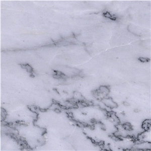 Lawrence White Tile