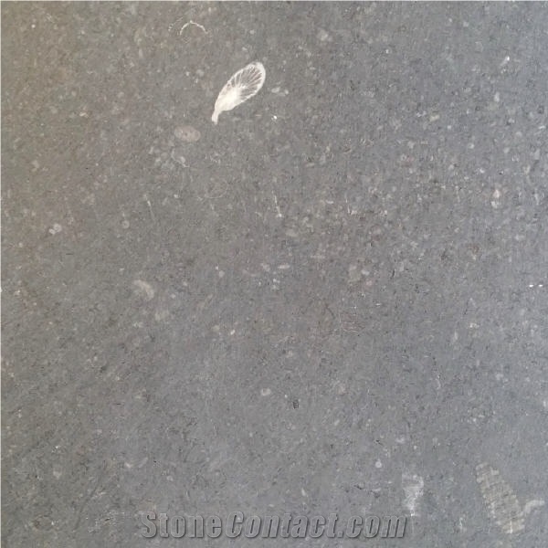 Lecarrow Limestone importance=