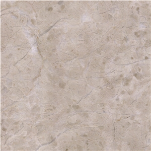 Leo Beige Tile