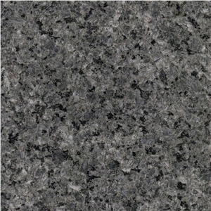 Leopard Skin Flower Granite