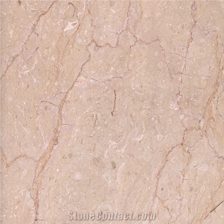 Light Salsaly Marble importance=