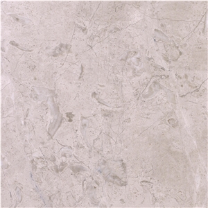 Limpet Beige
