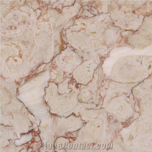 Lioz Abancado Limestone importance=