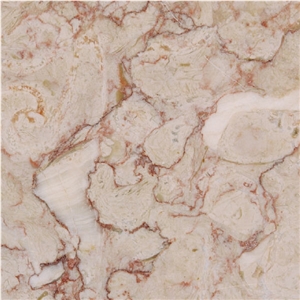 Lioz Abancado Limestone