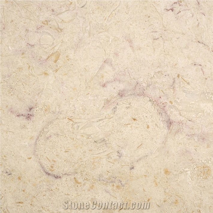 Lioz Limestone importance=