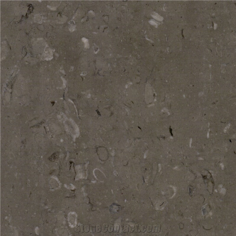 Lipica Fiorito Limestone importance=