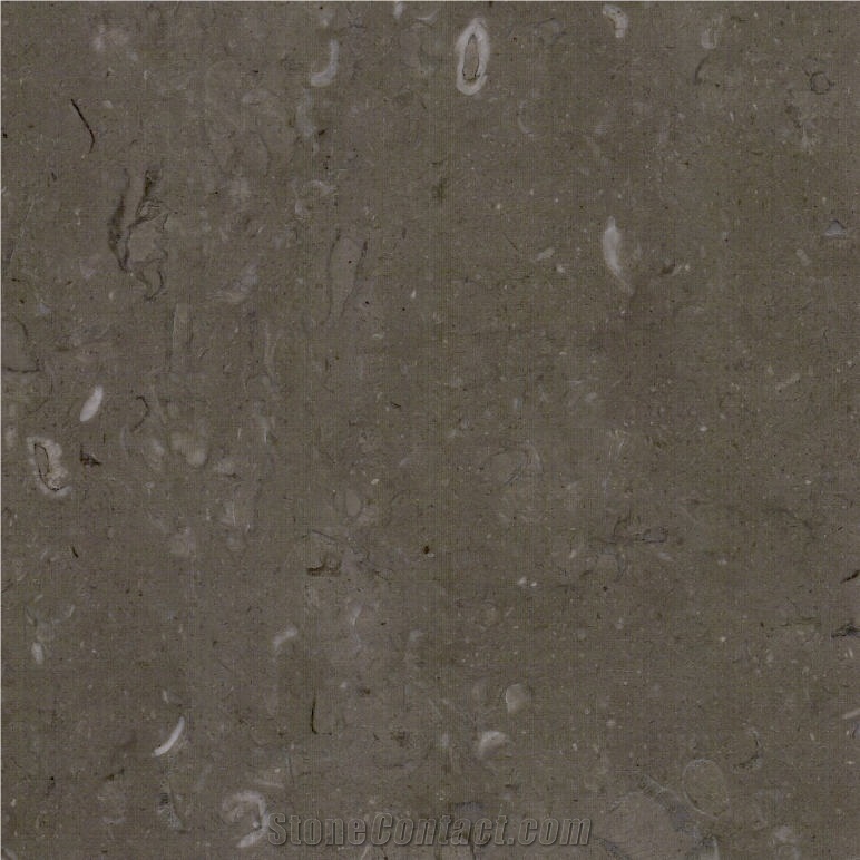 Lipica Fiorito Limestone Tile