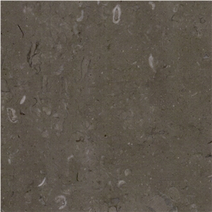 Lipica Fiorito Limestone Tile