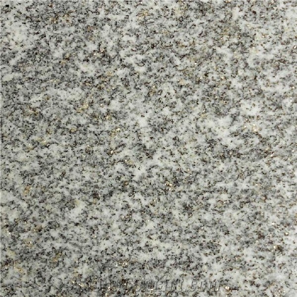 Lodrino Gneiss importance=