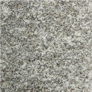 Lodrino Gneiss