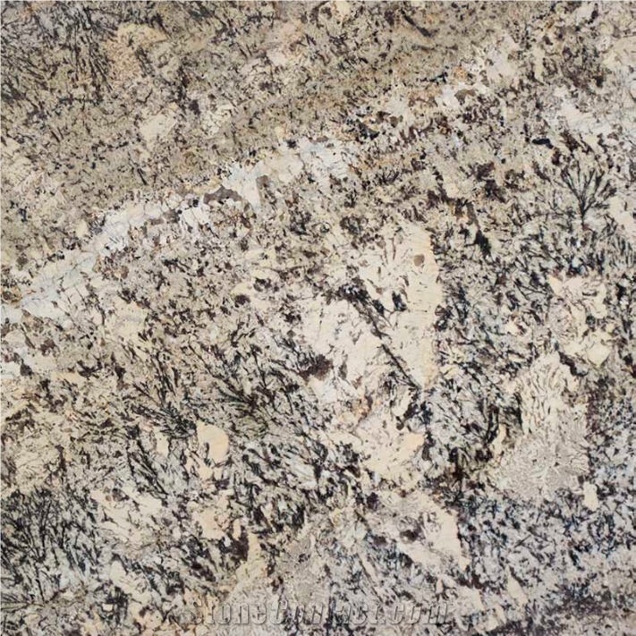 Macchiato Coffee Granite importance=