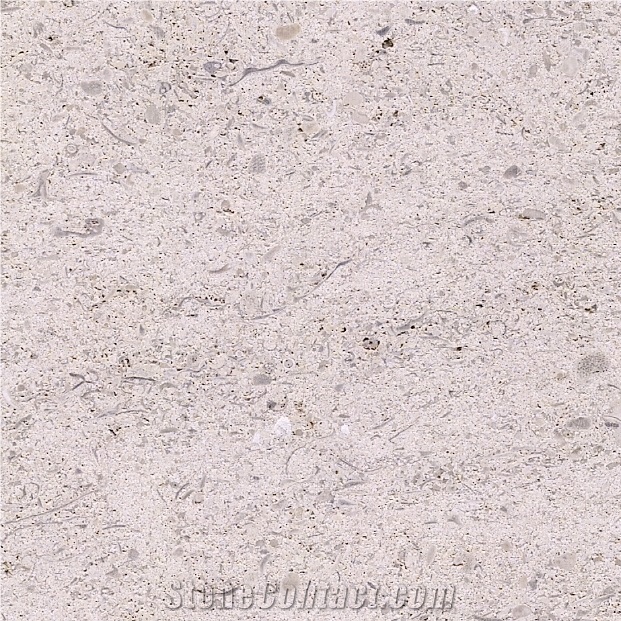 Magny Dore Limestone Tile