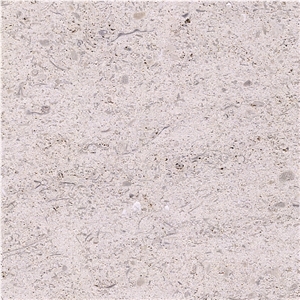 Magny Dore Limestone Tile