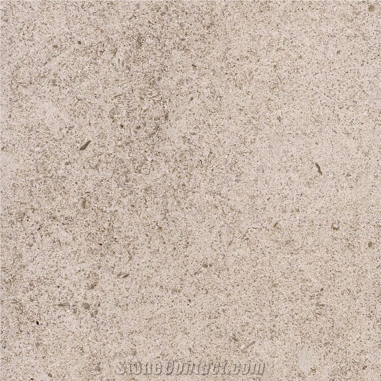 Magny Limestone importance=