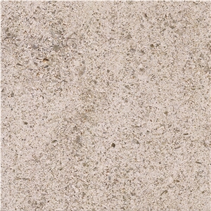 Magny Limestone Tile