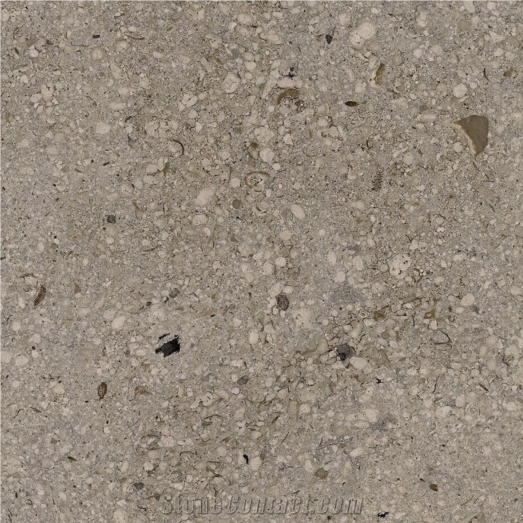 Mara Grey Limestone importance=