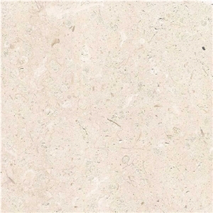 Marbella Blanca Limestone