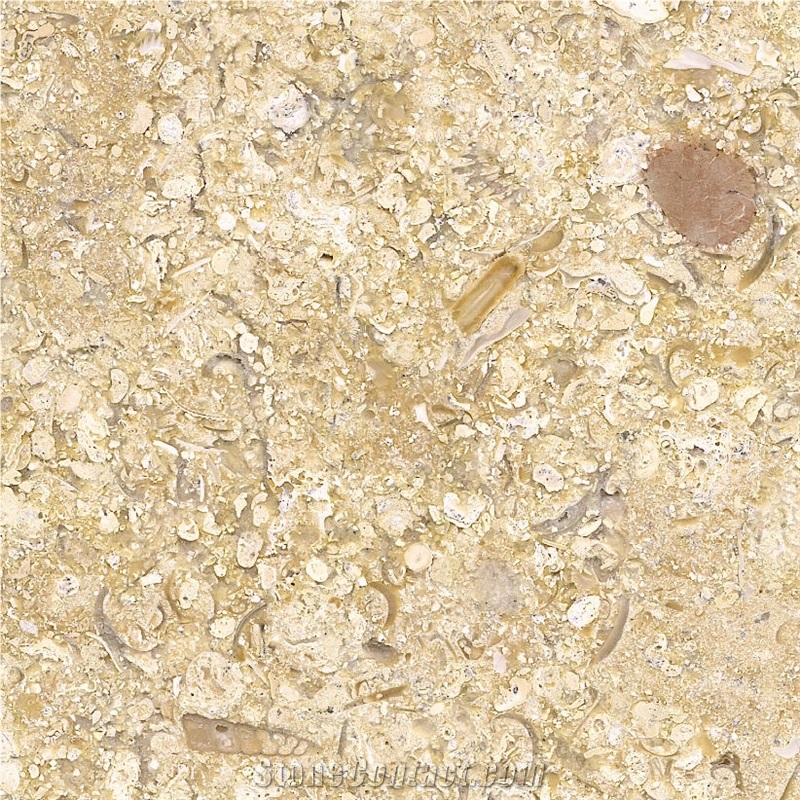 Mare Gold importance=