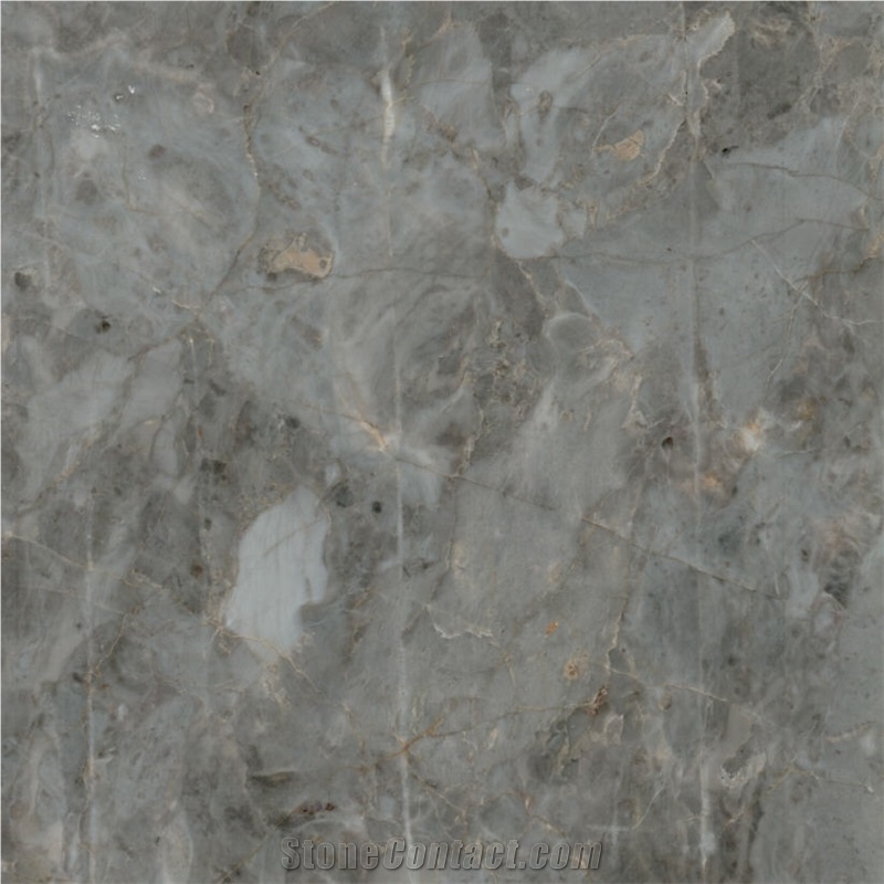 Marine Grey Marble importance=