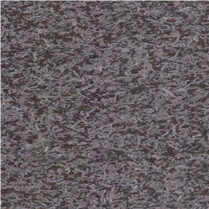 Marron Monchique
