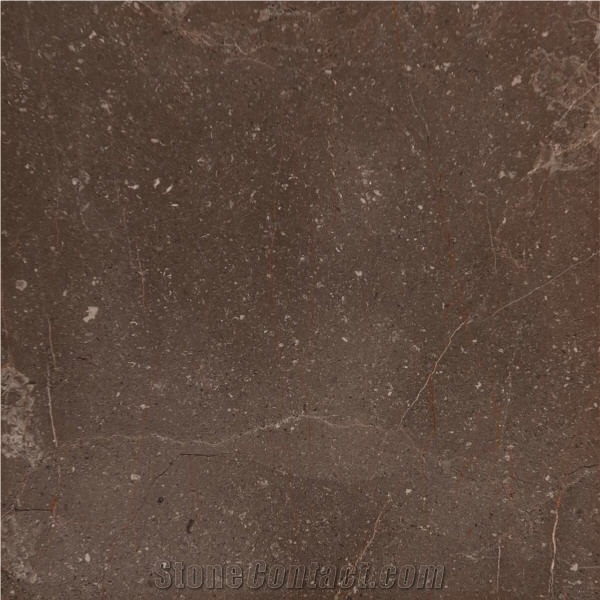 Marron Olivia Marble importance=