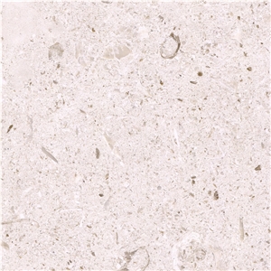 Marvdasht Limestone